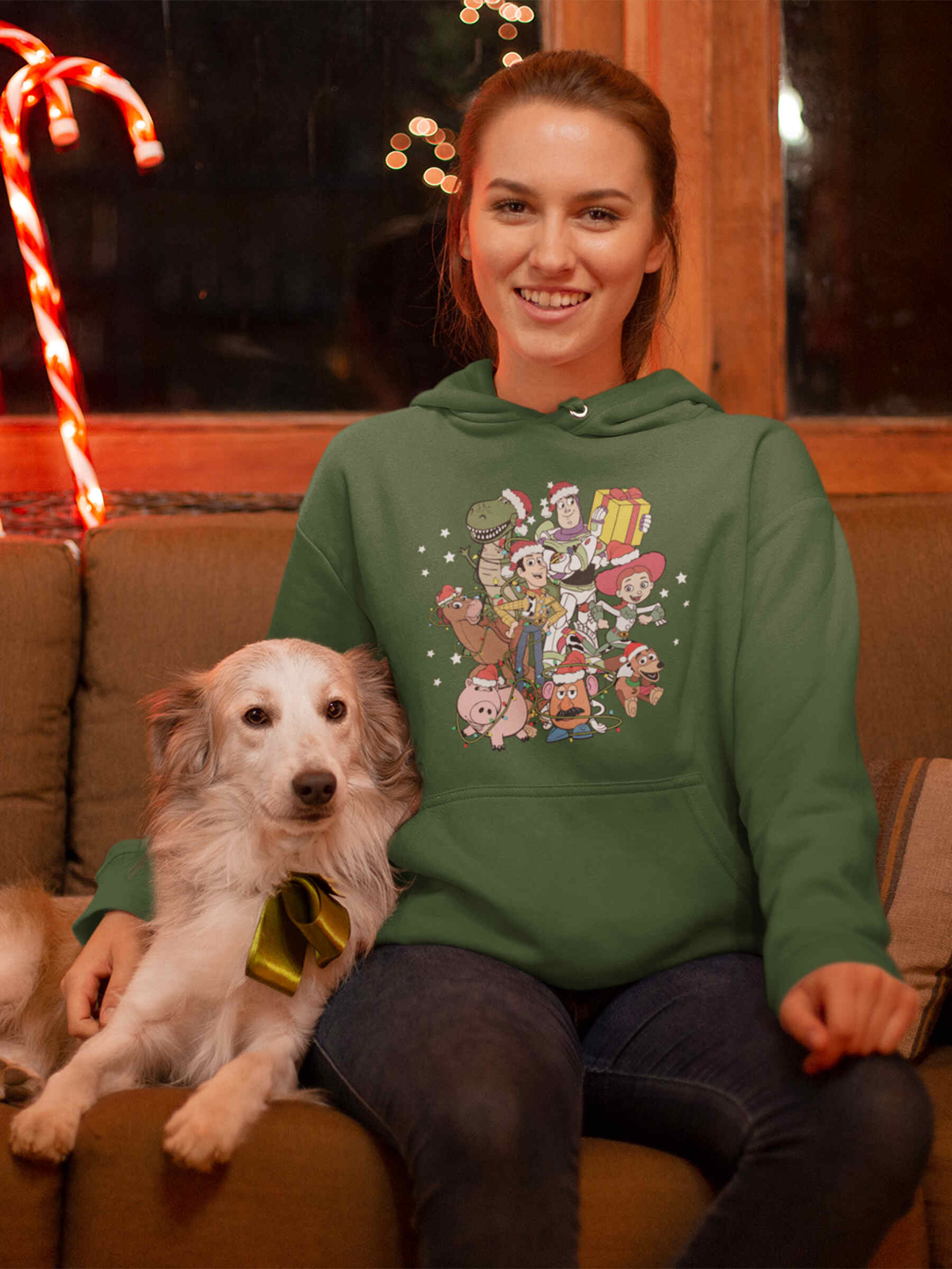 Christmas Toy Story Friends Hoodie